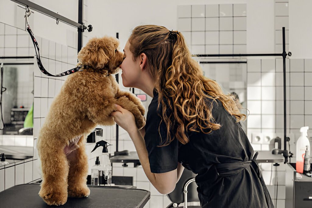 pet business ideas, pet care, pet grooming