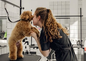50 Profitable Pet Business Ideas That Make Money In 2026
