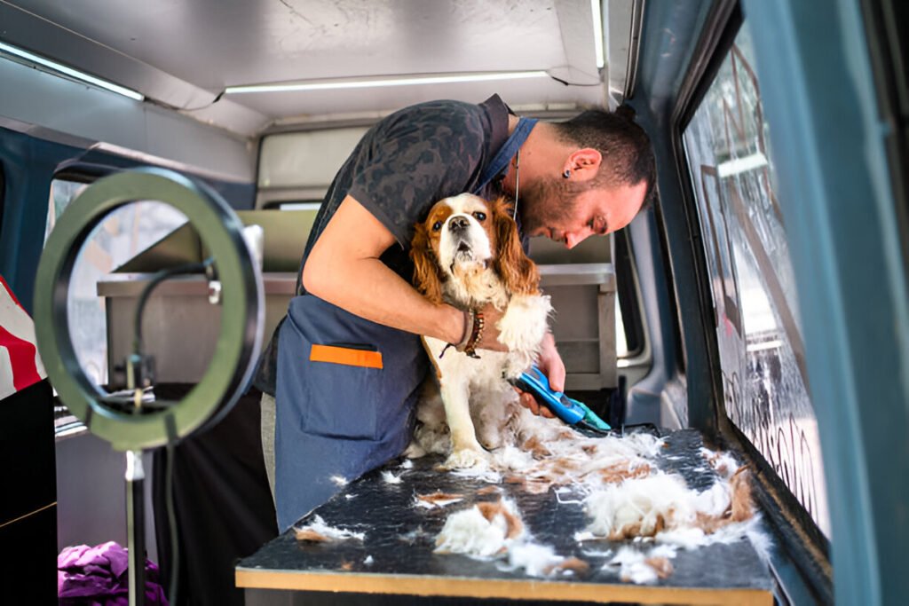 mobile grooming van for mobile pet grooming business