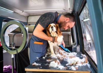 Mobile Pet Grooming Business: What It Is and How To Start In 2026 