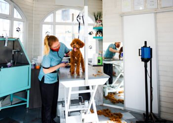 How to Start a Dog Grooming Business From Home: Complete 2026 Guide
