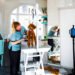 How to Start a Dog Grooming Business From Home: Complete 2026 Guide